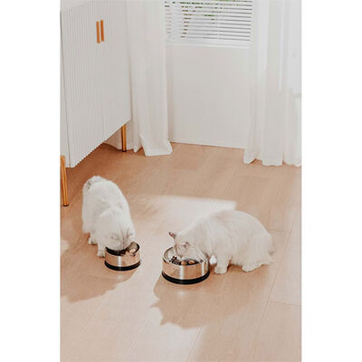 Pawgether Bowl 2 Kedi ve Küçük Irk Köpek Çelik Mama ve Su Kabı 400 Ml 