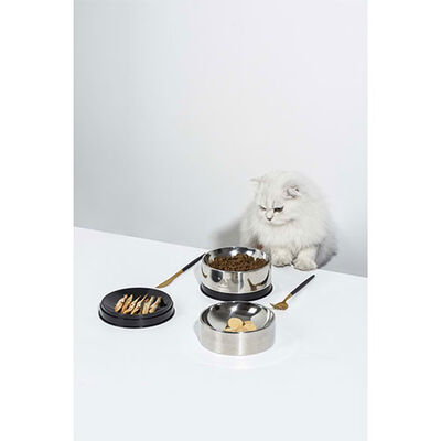 Pawgether Bowl 2S Kedi ve Küçük Irk Köpek Çelik Mama ve Su Kabı 850 Ml 