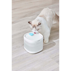 Pawgether Pure 3S Kedi ve Küçük Irk Köpek Otomatik Su Kabı 2000 Ml - Thumbnail