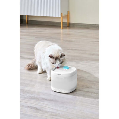 Pawgether Pure 3S Kedi ve Küçük Irk Köpek Otomatik Su Kabı 2000 Ml 