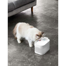 Pawgether Pure 4S Kedi ve Küçük Irk Köpek Otomatik Su Kabı 2500 Ml - Thumbnail