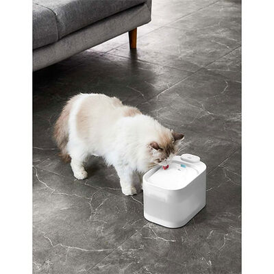 Pawgether Pure 4S Kedi ve Küçük Irk Köpek Otomatik Su Kabı 2500 Ml 