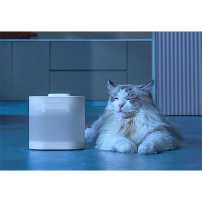 Pawgether Pure 4S Kedi ve Küçük Irk Köpek Otomatik Su Kabı 2500 Ml 