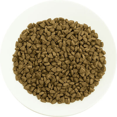 Pro Choice Pro 34 Somonlu ve Pirinçli Yetişkin Kedi Maması 15 Kg 