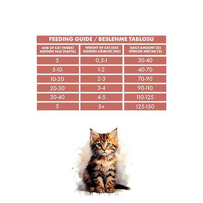 Pro Performance Mother Baby Kitten Somonlu ve Pirinçli Anne Yavru Kedi Maması 2 Kg 