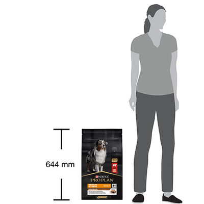 Pro Plan Duo Delice Medium Large Adult Taze Parça Etli Orta ve Büyük Irk Yetişkin Köpek Maması 10 Kg 