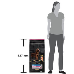 Pro Plan Large Atletic Sensıtıve Skin Somonlu Büyük Irk Yetişkin Köpek Maması 14 Kg - Thumbnail