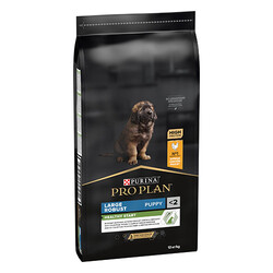 Pro Plan Large Robust Puppy Chicken Tavuklu Büyük Irk Yavru Köpek Maması 12 Kg - Thumbnail