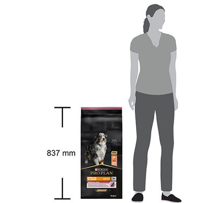 Pro Plan Medium Large Senior Sensitive Skin Somonlu ve Pirinçli Orta ve Büyük Irk Yaşlı Köpek Maması 14 Kg 