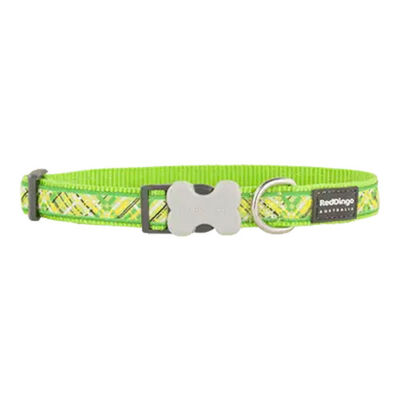 Reddingo Flanno Desenli Lime Köpek Boyun Tasması Large 25 Mm 41-63 Cm 