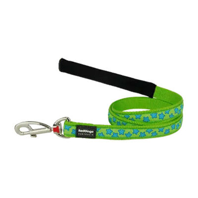 Reddingo Lime Üzerine Turkuaz Yıldızlı Köpek Uzatma Tasması Large 25 Mm 1,2 Mt 