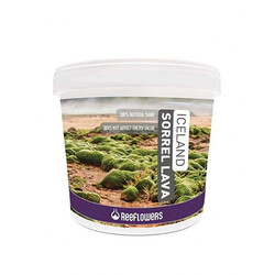 Reeflowers - Reeflowers Iceland Sorrel Lava Akvaryum Kumu 1-3mm 15 Kg 
