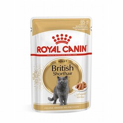 Royal Canin - Royal Canin British Shorthair Adult Pouch Yetişkin Kedi Konservesi 6 Adet 85 Gr 