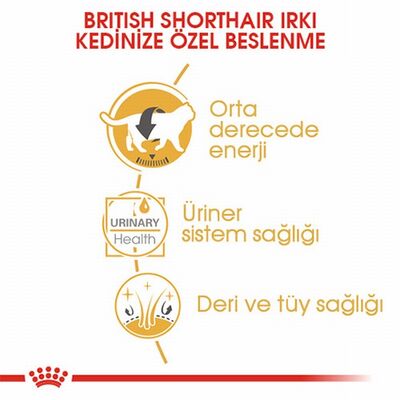 Royal Canin British Shorthair Adult Pouch Yetişkin Kedi Konservesi 6 Adet 85 Gr 
