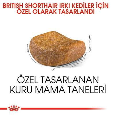 Royal Canin British Shorthair Adult Yetişkin Kedi Maması 2 Kg+2 Adet Pouch Hediye 