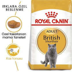 Royal Canin British Shorthair Adult Yetişkin Kedi Maması 2 Kg+2 Adet Pouch Hediye - Thumbnail