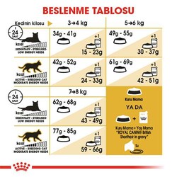 Royal Canin British Shorthair Adult Yetişkin Kedi Maması 2 Kg+2 Adet Pouch Hediye - Thumbnail