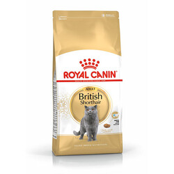 Royal Canin British Shorthair Adult Yetişkin Kedi Maması 2 Kg+2 Adet Pouch Hediye - Thumbnail