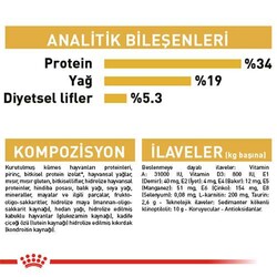 Royal Canin British Shorthair Adult Yetişkin Kedi Maması 4 Kg - Thumbnail