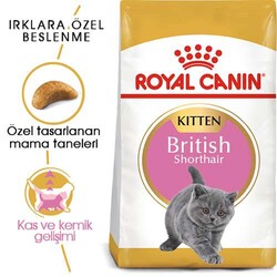 Royal Canin British Shorthair Kitten Yavru Kedi Maması 2 Kg - Thumbnail