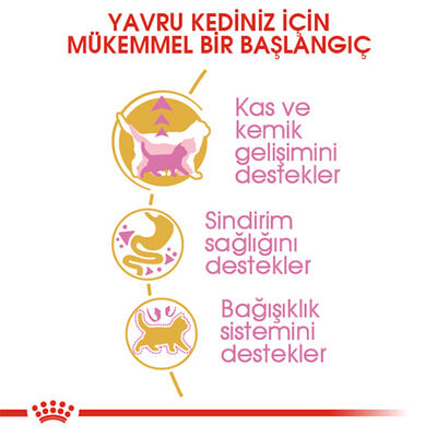 Royal Canin British Shorthair Kitten Yavru Kedi Maması 2 Kg 