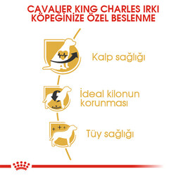 Royal Canin Cavalier King Charles Adult Yetişkin Köpek Maması 3 Kg - Thumbnail
