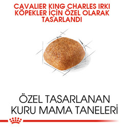 Royal Canin Cavalier King Charles Adult Yetişkin Köpek Maması 3 Kg - Thumbnail
