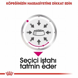 Royal Canin Ccn Exigent Loaf Pate Pouch Küçük Irk Yetişkin Köpek Konservesi 12 Adet 85 Gr - Thumbnail