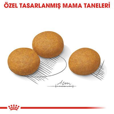Royal Canin Ccn Medıum Dermacomfort Adult Orta Irk Yetişkin Köpek Maması 12 Kg 