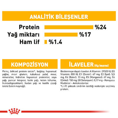 Royal Canin Ccn Medıum Dermacomfort Adult Orta Irk Yetişkin Köpek Maması 12 Kg 