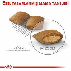 Royal Canin Ccn Mini Exigent Küçük Irk Yetişkin Köpek Maması 3 Kg - Thumbnail