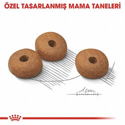 Royal Canin Ccn Mini Light Weight Care Küçük Irk Light Köpek Maması 3 Kg - Thumbnail