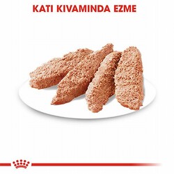 Royal Canin Ccn Sterilised Pouch Kısırlaştırılmış Köpek Konservesi 12 Adet 85 Gr - Thumbnail