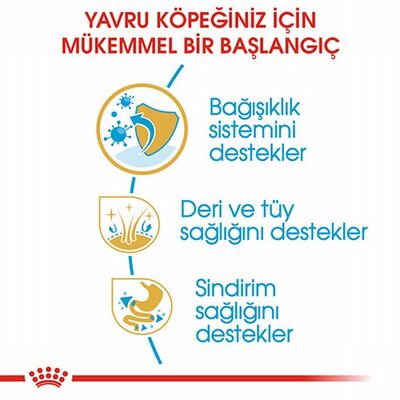 Royal Canin Cocker Spaniel Puppy Yavru Köpek Maması 3 Kg 
