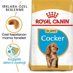 Royal Canin Cocker Spaniel Puppy Yavru Köpek Maması 3 Kg - Thumbnail