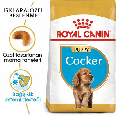 Royal Canin Cocker Spaniel Puppy Yavru Köpek Maması 3 Kg 