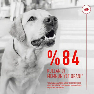 Royal Canin Digestion Chews Sindirim Sağlığını Destekleyen Köpek Ödül Maması 160 Gr 