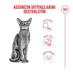 Royal Canin Fussy Exigent Seçici Kediler İçin Yetişkin Kedi Maması 400 Gr - Thumbnail