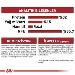 Royal Canin Fit 32 Adult Yetişkin Kedi Maması 400 Gr - Thumbnail