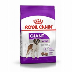 Royal Canin - Royal Canin Giant Adult Dev Irk Yetişkin Köpek Maması 15 Kg 