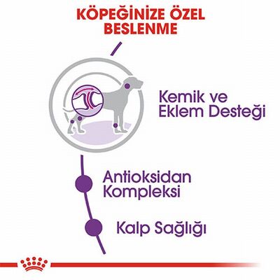 Royal Canin Giant Adult Dev Irk Yetişkin Köpek Maması 15 Kg 