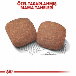 Royal Canin Giant Adult Dev Irk Yetişkin Köpek Maması 15 Kg - Thumbnail