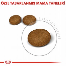 Royal Canin Hair Skin Adult Hassas Tüy Sağlığı Yetişkin Kedi Maması 2 Kg - Thumbnail