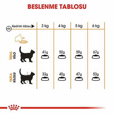Royal Canin Hair Skin Adult Hassas Tüy Sağlığı Yetişkin Kedi Maması 2 Kg 