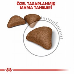 Royal Canin Hairball Tüy Yumağı Önleyici Yetişkin Kedi Maması 2 Kg - Thumbnail