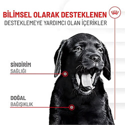 Royal Canin Immunity Digestion Chews Bağışıklık ve Sindirim Sistemi Destekleyici Yavru Köpek Ödül Maması 100 Gr - Thumbnail