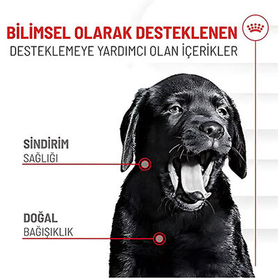 Royal Canin Immunity Digestion Chews Bağışıklık ve Sindirim Sistemi Destekleyici Yavru Köpek Ödül Maması 100 Gr 