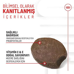 Royal Canin Immunity Digestion Chews Bağışıklık ve Sindirim Sistemi Destekleyici Yavru Köpek Ödül Maması 100 Gr - Thumbnail