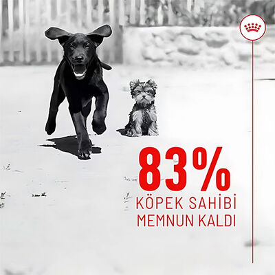 Royal Canin Immunity Digestion Chews Bağışıklık ve Sindirim Sistemi Destekleyici Yavru Köpek Ödül Maması 100 Gr 