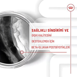 Royal Canin Immunity Digestion Chews Bağışıklık ve Sindirim Sistemi Destekleyici Yavru Köpek Ödül Maması 100 Gr - Thumbnail